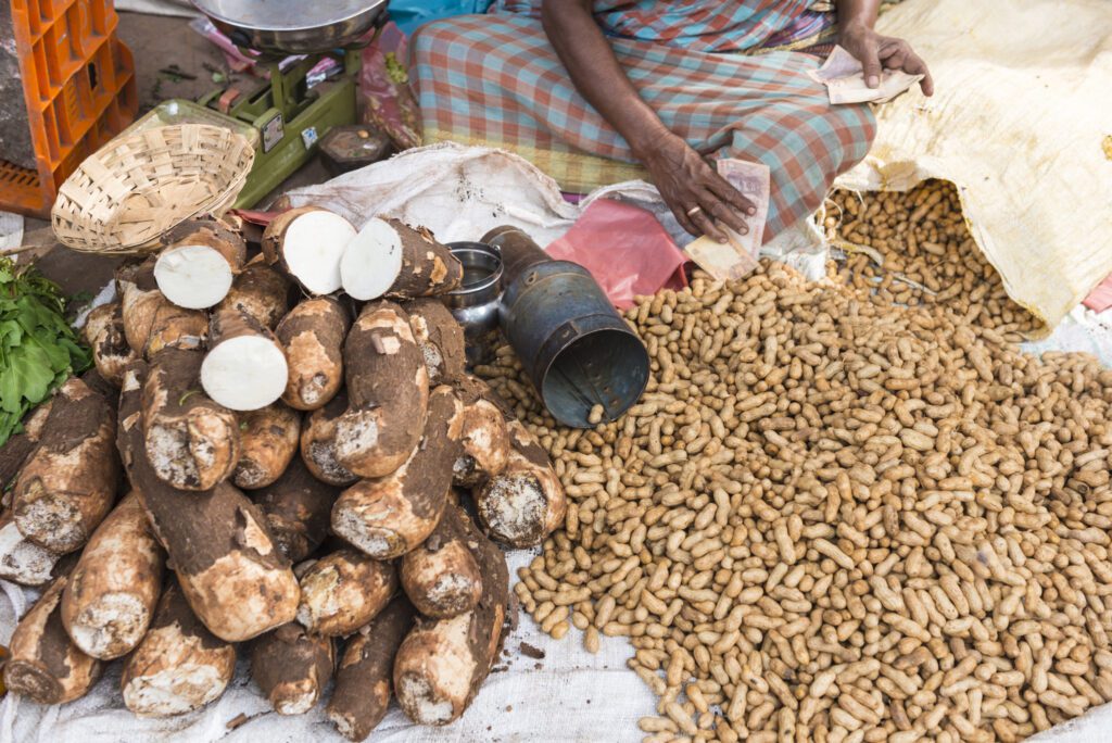 Bunch of cassava and peanuts on the street market. Female hands holding some banknotes of indian Rupee, at here side weight scale.