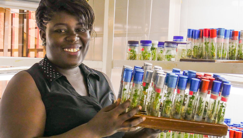 A researcher at the Plant Genetic Resources Research Institute. The Ghanaian government pledged US$50 million as seed money for the Ghana National Research Fund. Copyright: Nora Castaneda-Alvarez/Crop Trust (CC BY-ND 2.0 DEED).