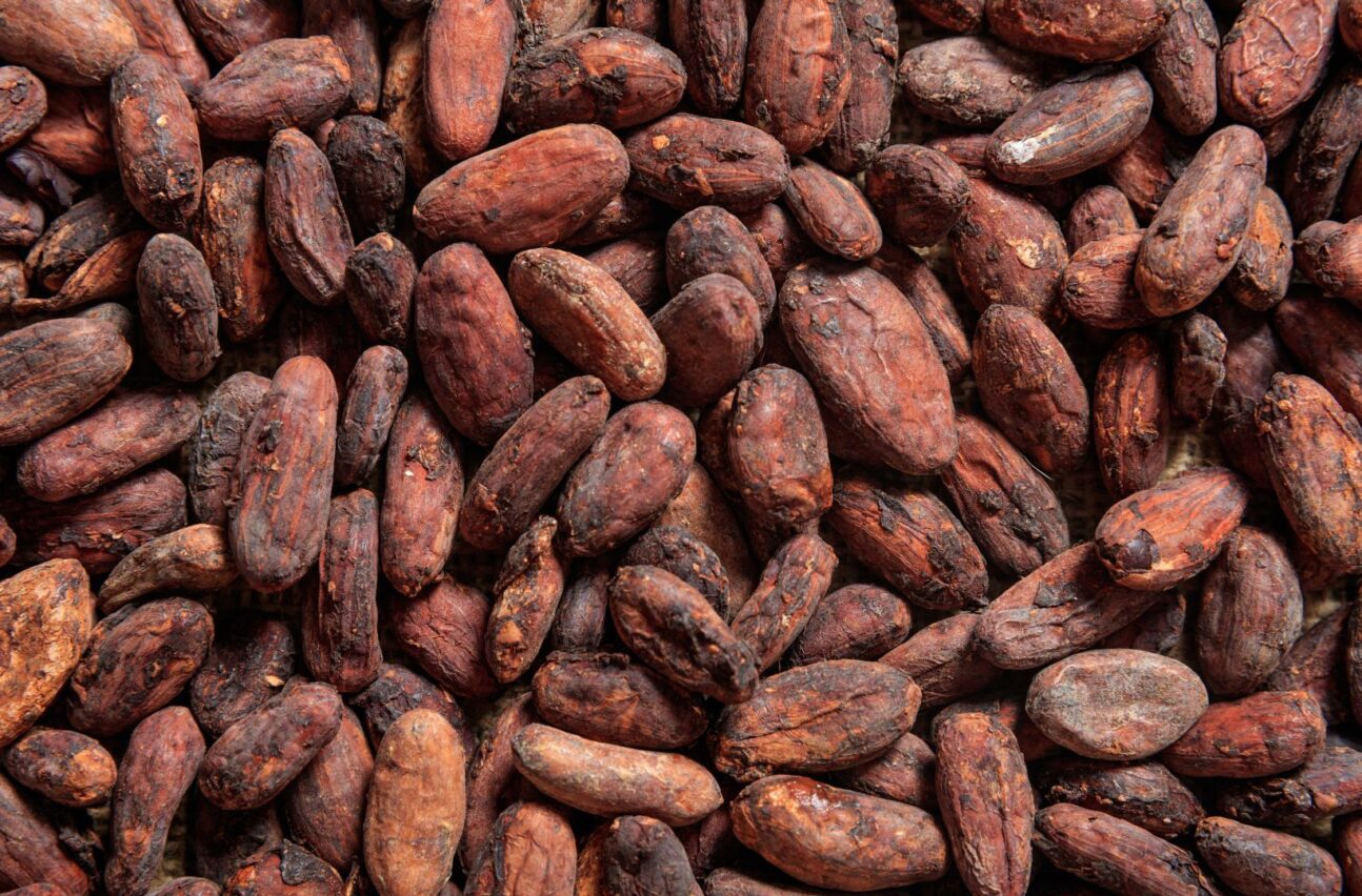cocoa beans