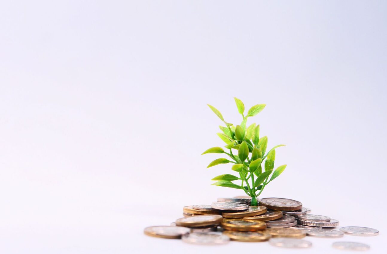 pile of coins with plant