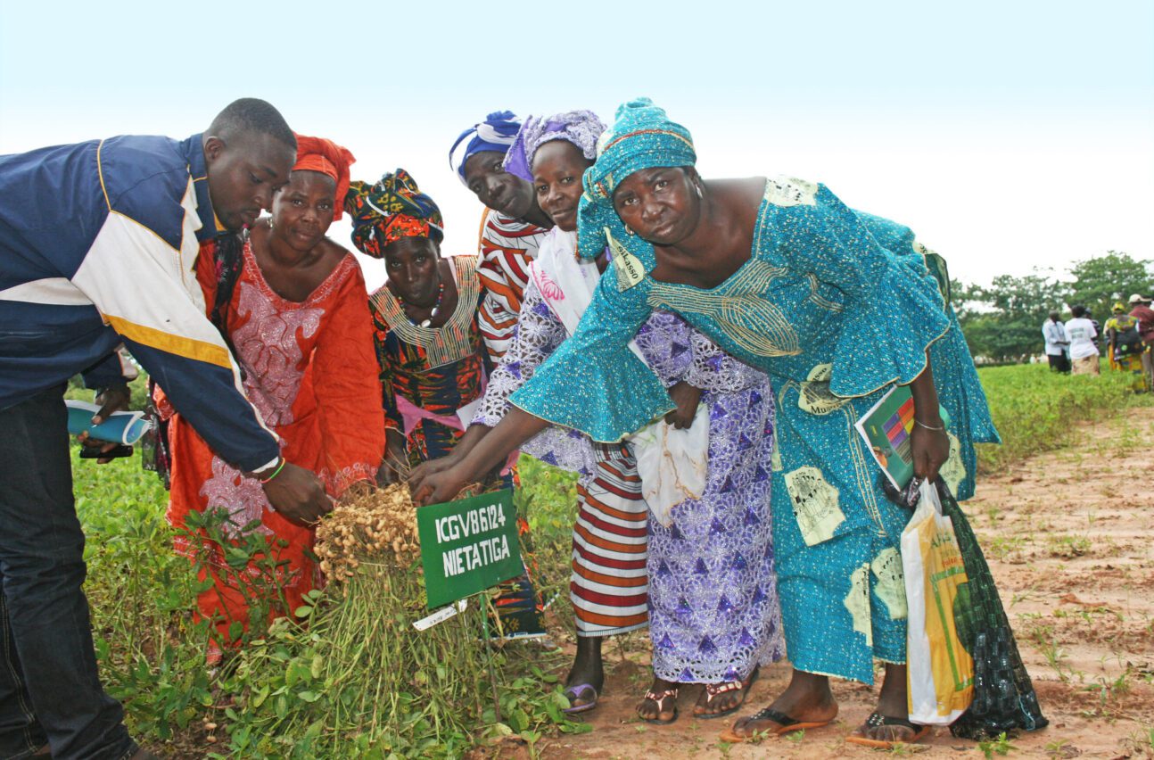 Des agricultrices présentent une variété améliorée d’arachide au Malawi. Selon Gift Kadzamira, directrice générale de la Commission malawite pour la science et la technique, les partenariats dans le domaine de la recherche ont pour objectif de trouver des solutions innovantes et des applications pratiques. Photo : A Diama/ICRISAT (CC BY-NC 2.0 DEED)