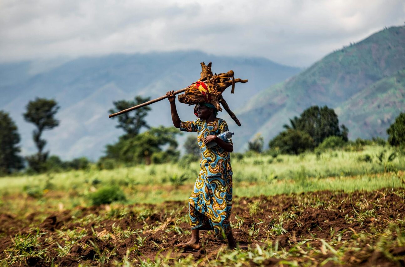 An African woman carrying firewood as she walks through a field