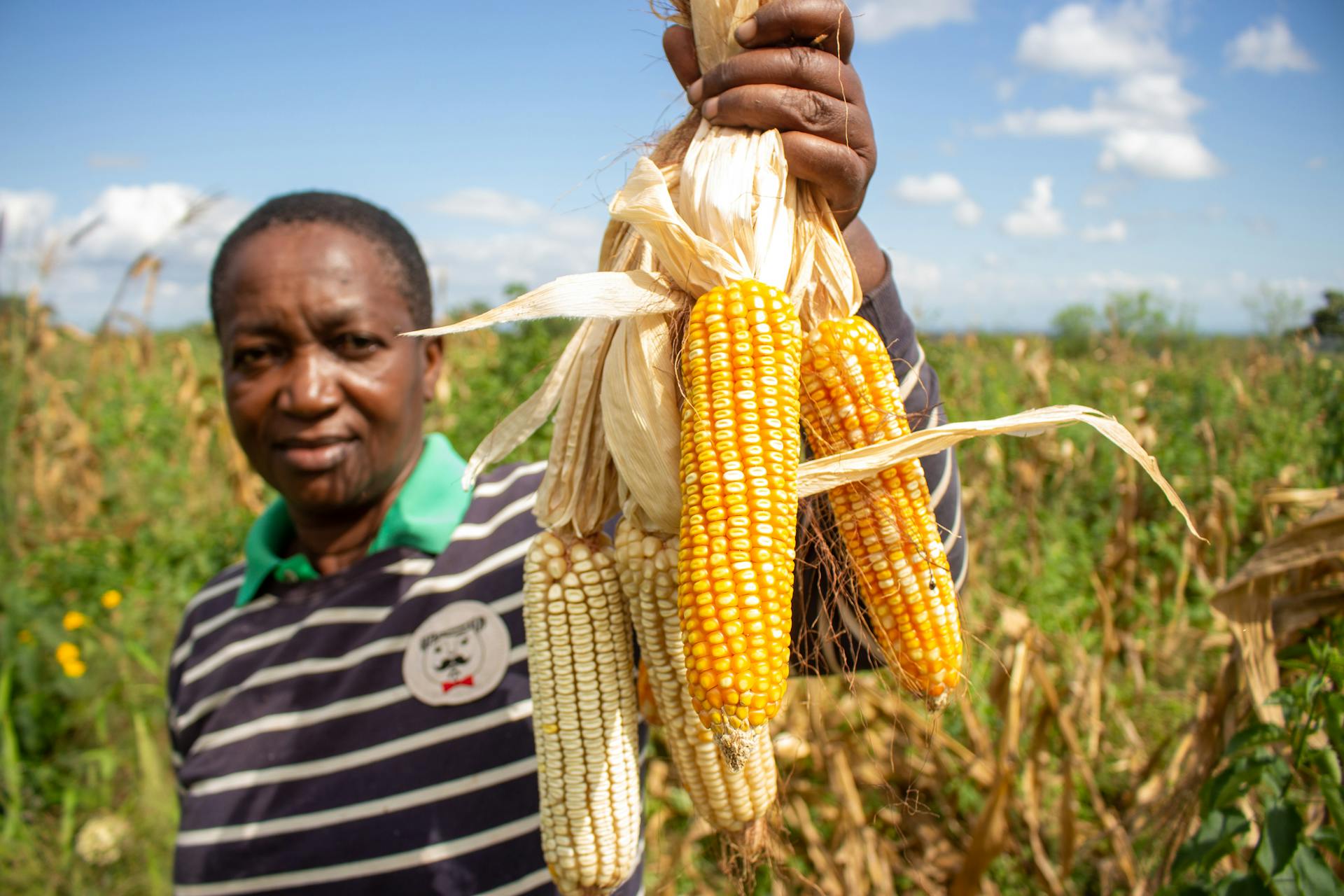 Empowering Malawi's rural communities through renewable energy ...