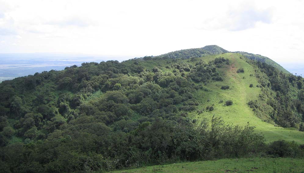 The forested section of Ngong Hills in Kenya. Rising deforestation and climate pressures are putting vital African food sources at risk. Copyright: Rotsee (CC BY-SA 3.0)