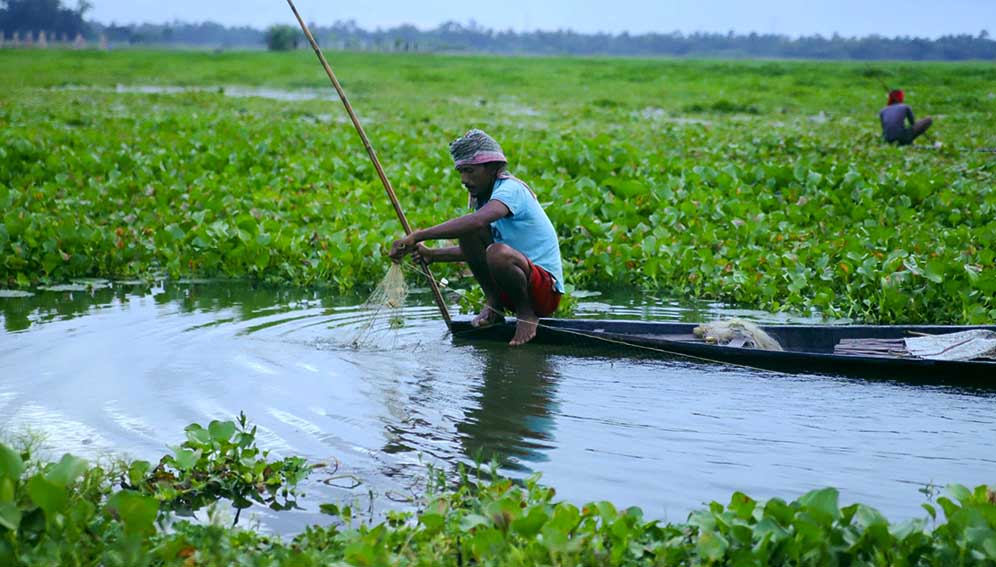 Firshermen on a water hyacinth-infested lake. In Ethiopia, this fast-spreading aquatic weed began choking the Lake Tana that had sustained the local community.