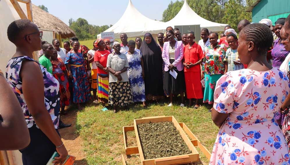 Farmers in Shianda Kakamega county being trained on the vegetable preservation technologies using the solar dryer and the charcoal coolant on March 7 2025