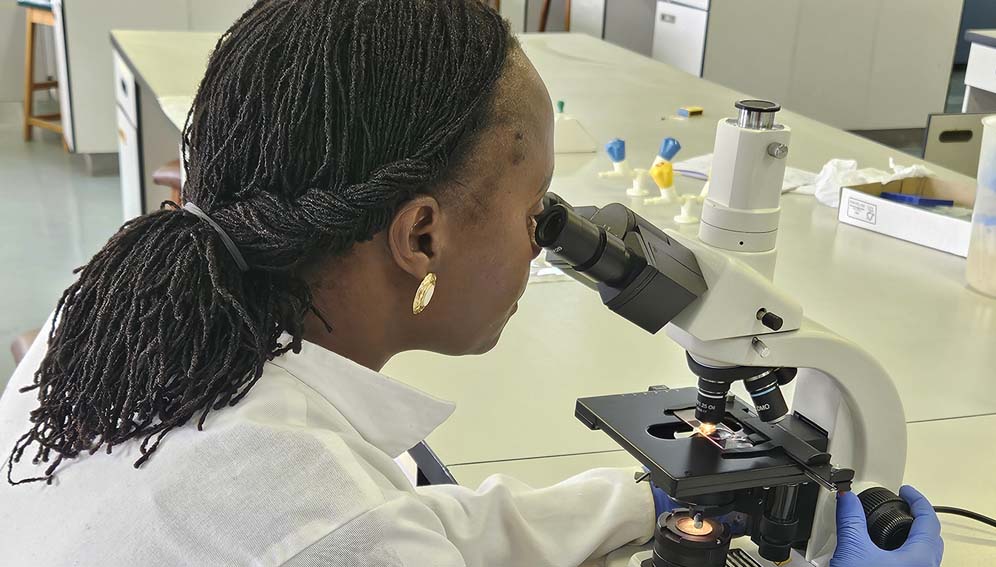 Soil test at the laboratory