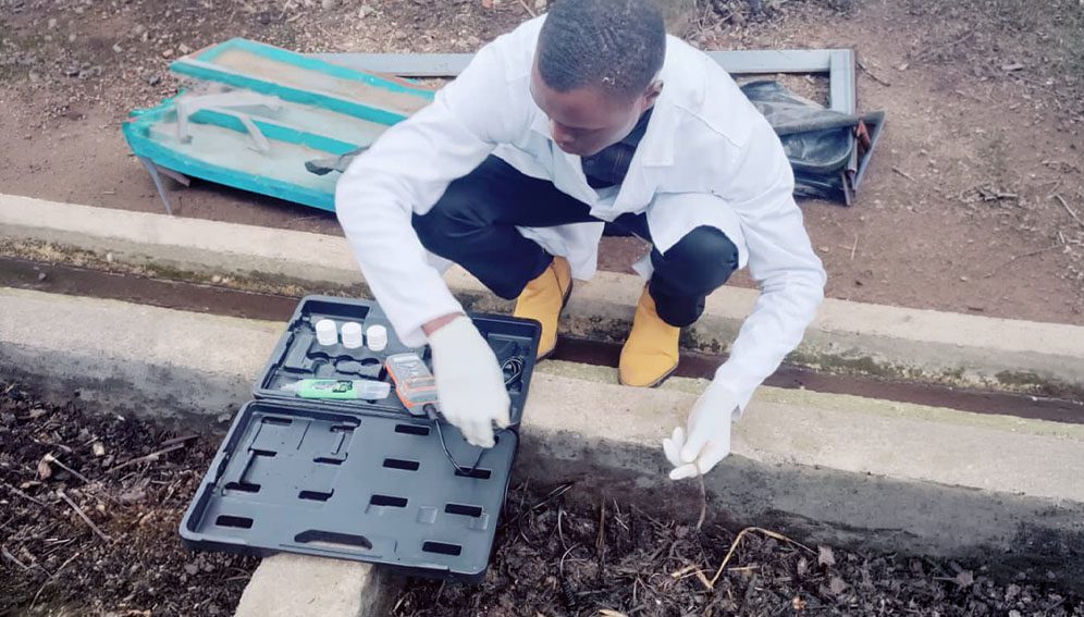Monitorização da vermicompostagem: pH e níveis de humidade